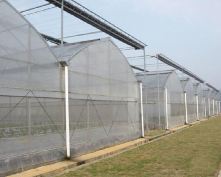 山东连栋薄膜温室造价 连栋薄膜温室造价