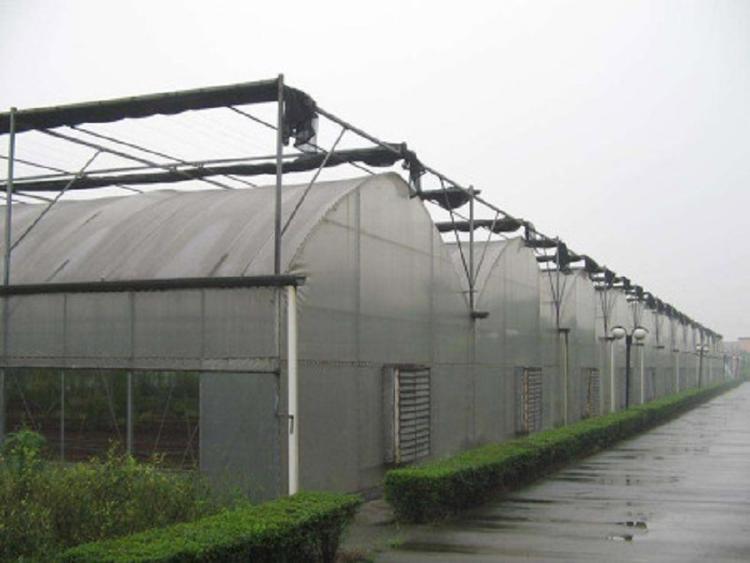 河北连栋薄膜温室建造 连栋薄膜温室建造