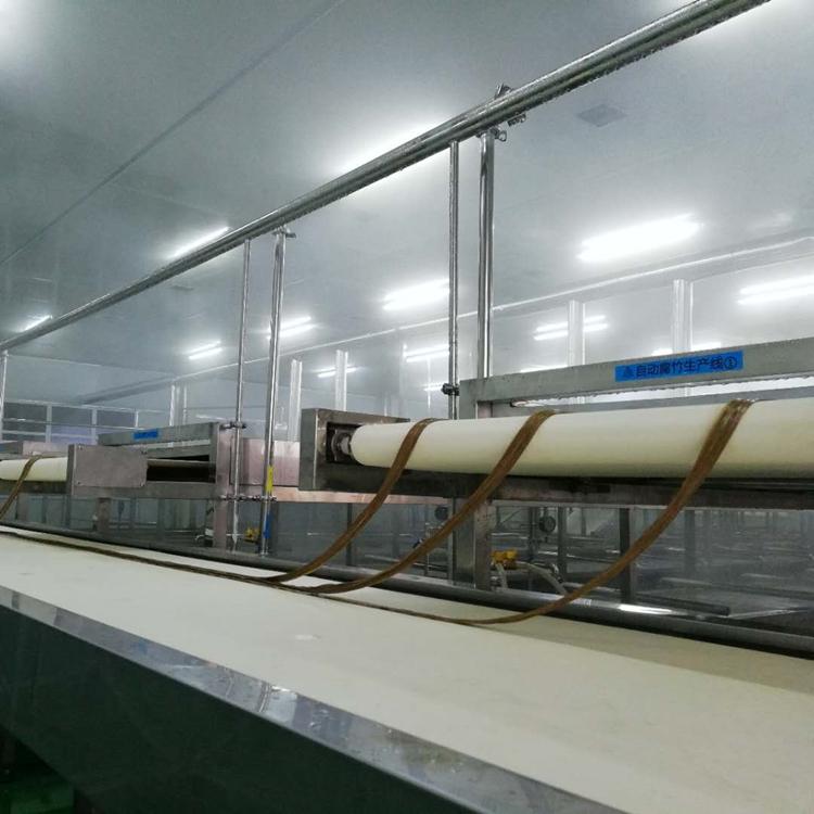 智能豆制品设备 大型不锈钢豆皮机 安徽豆制品设备制作厂家