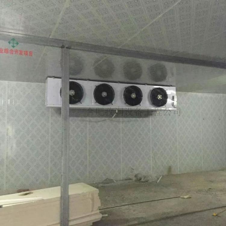 维护维修速冻冷库--高性价比冷库速冻冷库-冷库安装方案