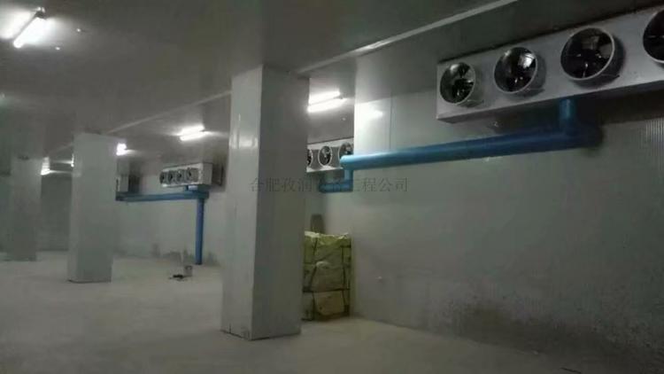 生产销售海鲜保鲜库-中小型冷库海鲜保鲜库冷库安装工程
