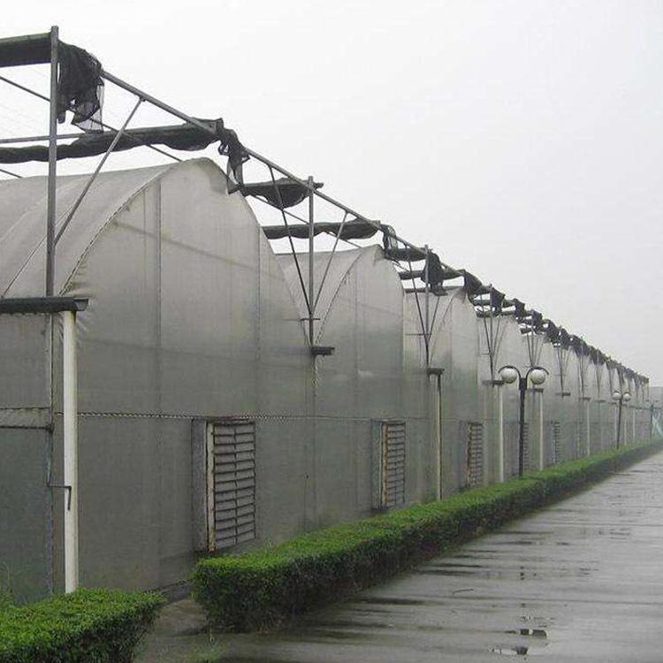 扬州蔬菜大棚 养殖大棚  连栋温室大棚-简易大棚-花卉大棚