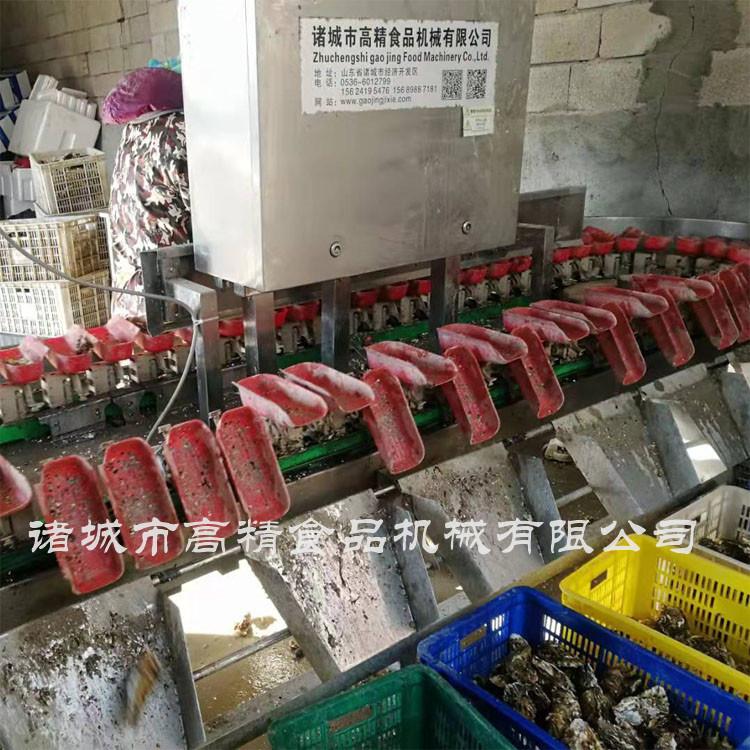 红色托盘牡蛎分选机生产厂家   高精 红色托盘牡蛎分选机报价
