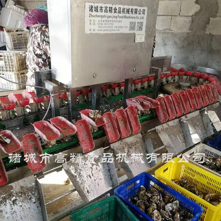 红色托盘牡蛎分选机大量供应   专用分选机 高精