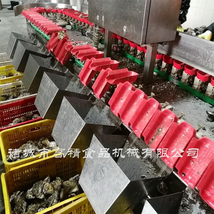 性价比高的红色托盘牡蛎分选机   高精