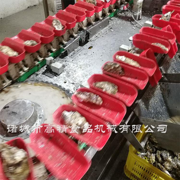 山东分选机厂家  现货出售红色托盘牡蛎分选机