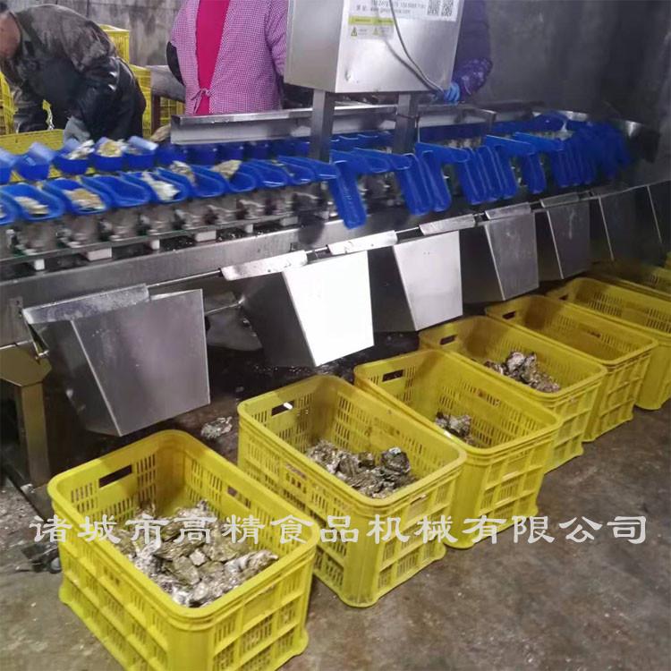蓝色托盘分级机价格优惠  高精  托盘分级机厂家活动
