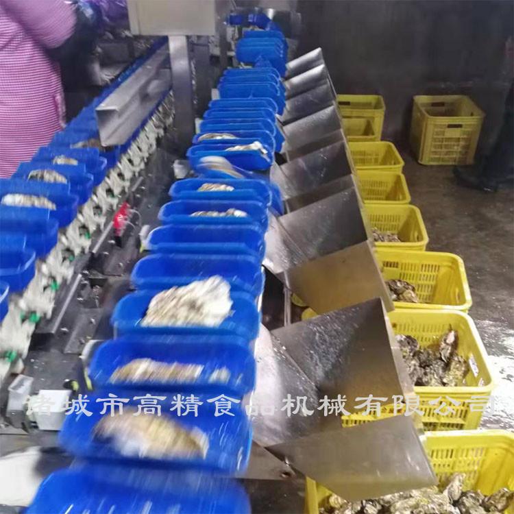 蓝色托盘分选机全国发货 分拣机  分级机 高精