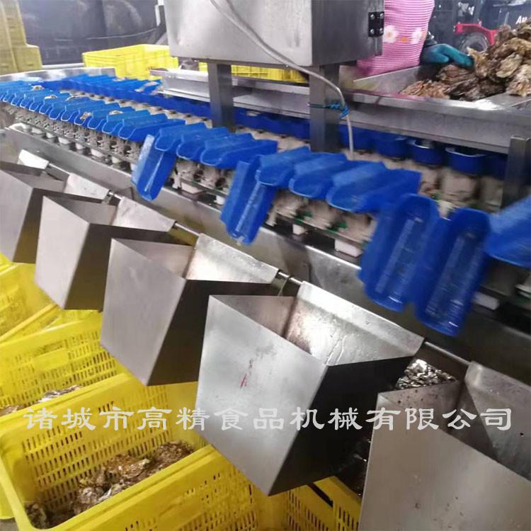 高精  蓝色托盘分级机生产厂家   蓝色托盘分级机制造商