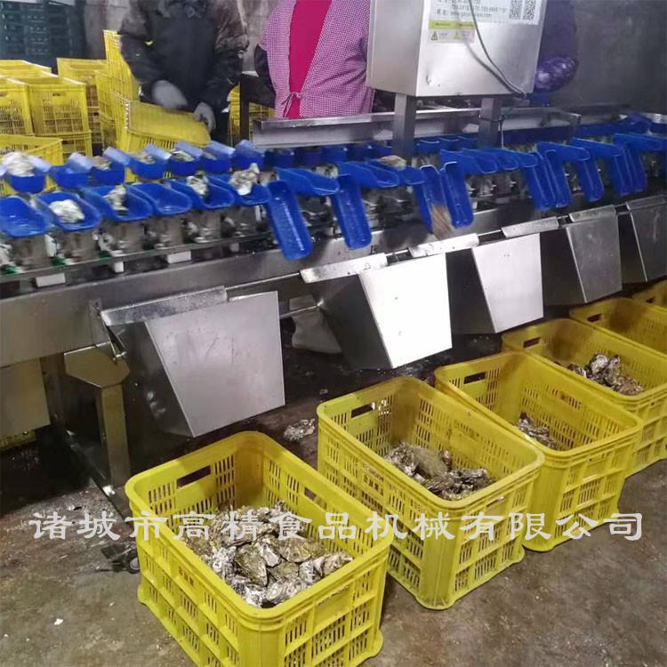 山东产品蓝色托盘分级机  高精 质量可信可靠
