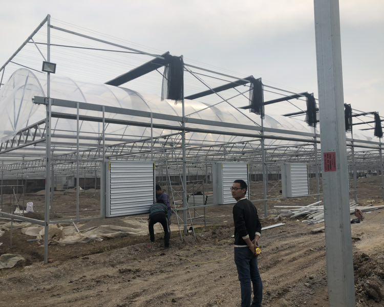 薄膜温室大棚建造 内蒙薄膜温室大棚 山东山水合