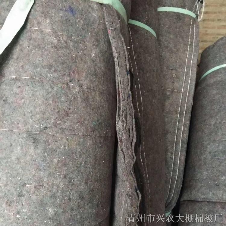 夹心棉棉被加工 大棚夹心棉棉被定做 【兴农】欢迎您来