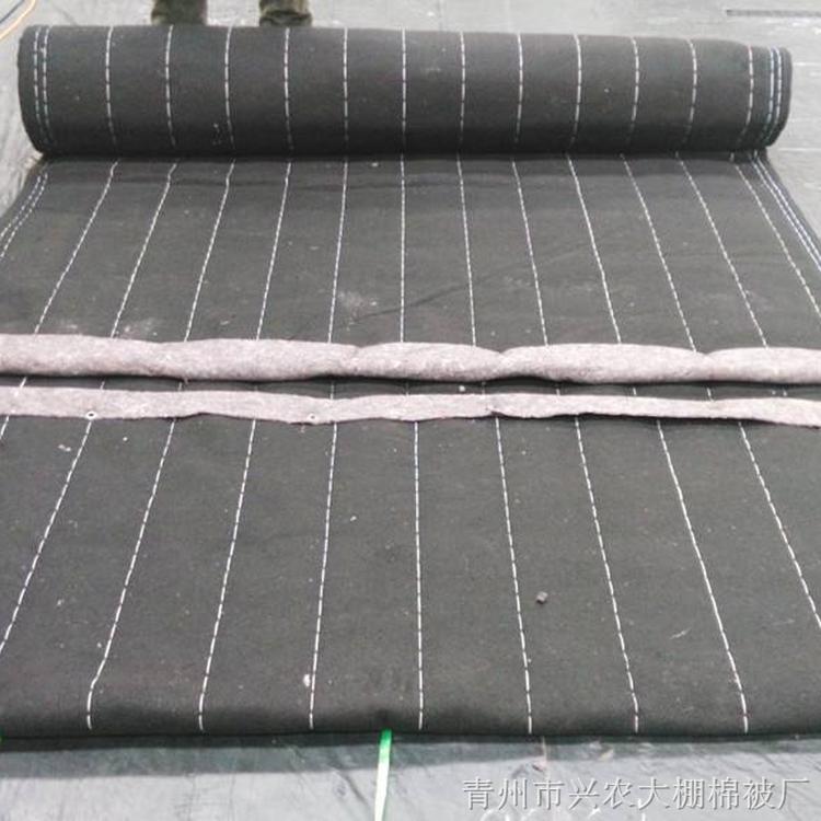 大棚棉被质量优良 出售大棚棉被 大棚棉被质量优良