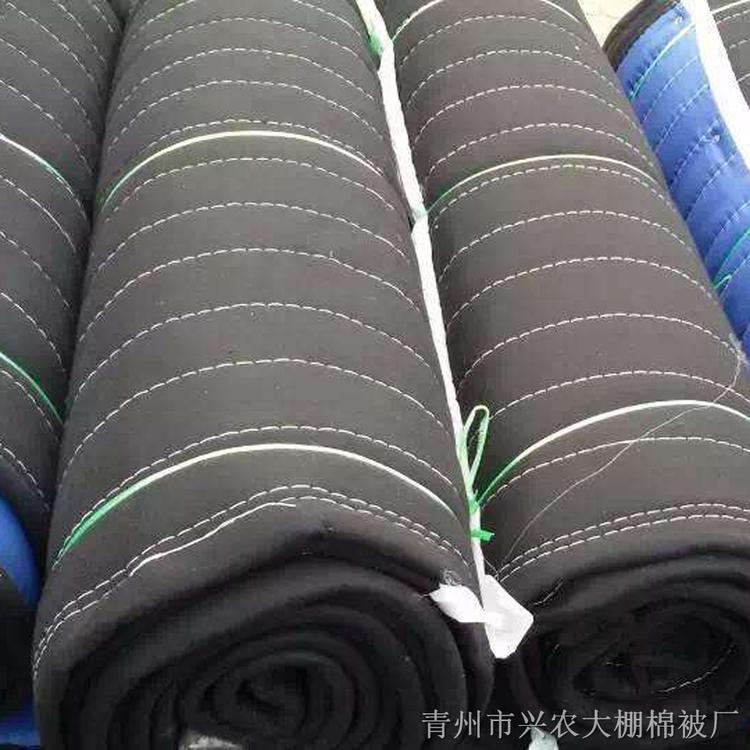 珍珠棉保温被质量优良 青州珍珠棉保温被 珍珠棉保温被质量优良