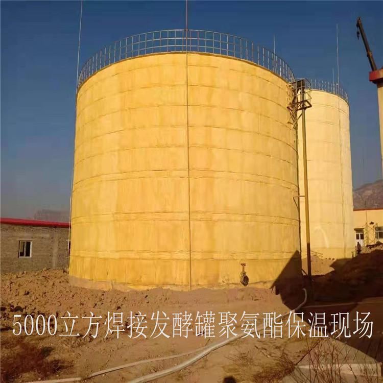 厌氧发酵罐 沼气厌氧反应罐 养殖场微生物发酵罐