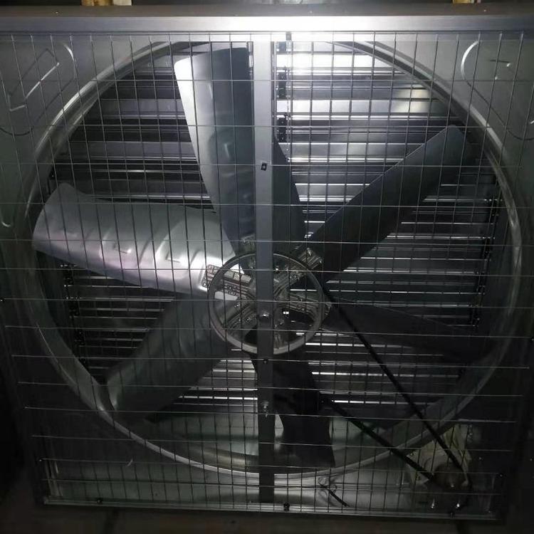 山东普通风机订制 物美价廉