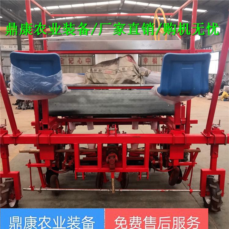 鼎康农业推荐辣椒移栽机洋葱移栽及药材花卉移栽机