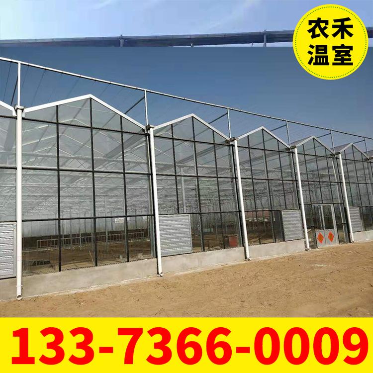 无土栽培智能温室大棚  水培蔬菜玻璃温室  智能物联网水肥一体化无锡温室大棚厂家