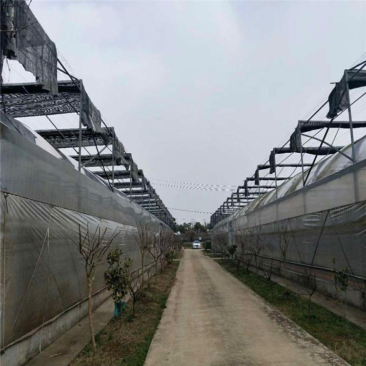 随州智能温室大棚 蔬菜大棚 养殖大棚热镀锌骨架农业蔬菜大棚 蘑菇种植镀锌大棚钢架定做
