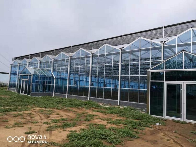 润云玻璃温室厂家