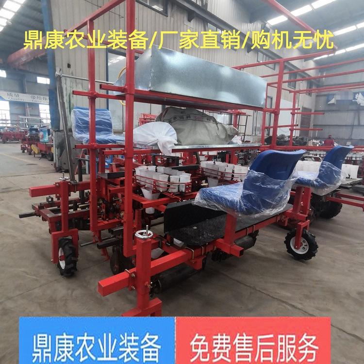 鼎康生产厂家供应白菜儿菜蔬菜移栽机 辣椒娃娃菜移栽机 西红柿西蓝花移栽机
