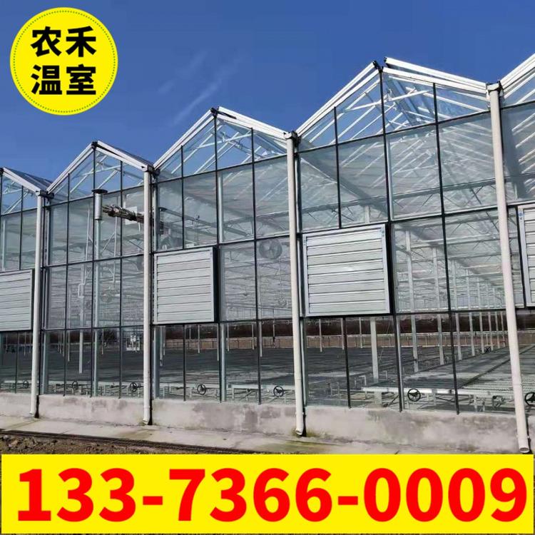 玻璃温室大棚  阳光板大棚  智能温室大棚厂家  蔬菜育苗大棚 江苏农禾温室工程有限公司