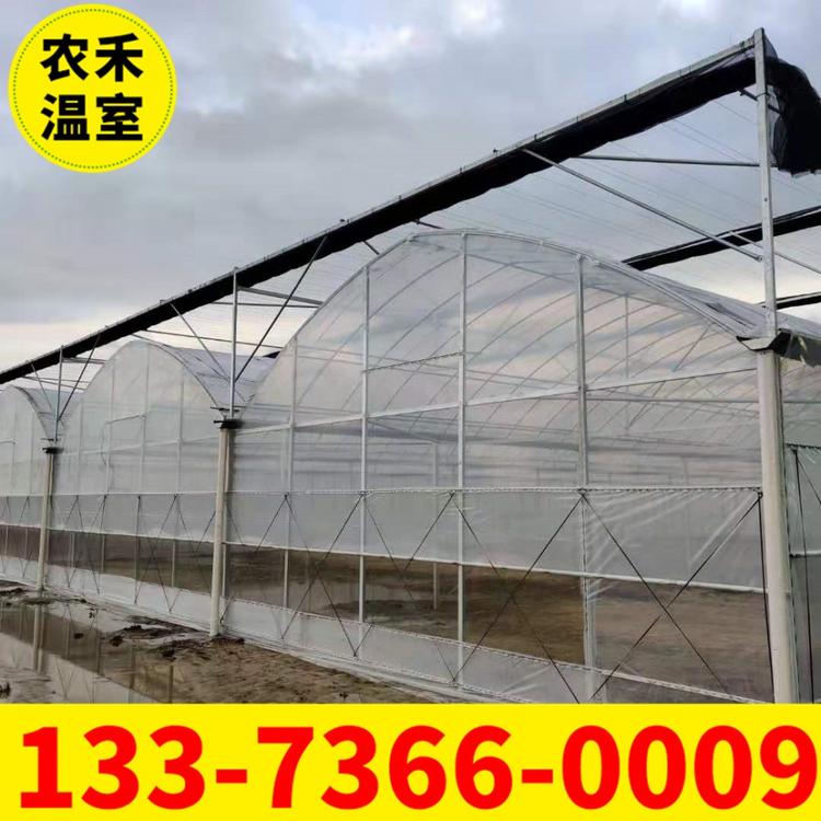 葡萄避雨大棚  8430外遮阳蔬菜花卉育苗连栋薄膜温室大棚骨架 草莓大棚  西瓜大棚  车厘子无锡温室大棚厂家