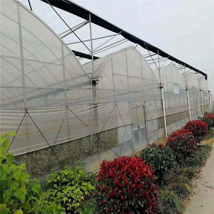 大棚钢管厂家直销热镀锌骨架连栋温室大棚 草莓大棚 蔬菜大棚 养殖大棚 畜牧业大棚 西瓜大棚 草莓大棚