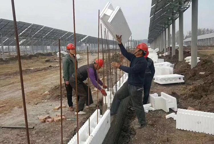 蔬菜大棚施工 eps海容模块 欢迎咨询 吉林eps海容模块