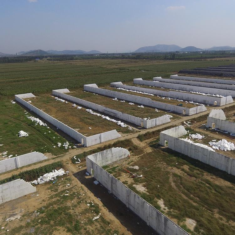 欢迎咨询 智能温室建设 泡沫蔬菜大棚 河南海容模块建大棚