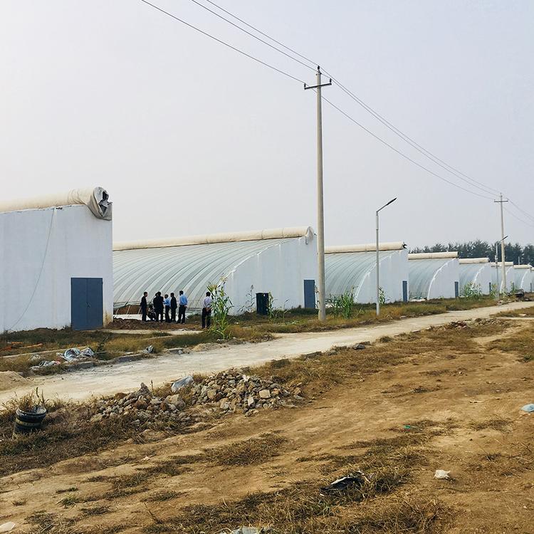 山西eps模块 海容模块 建大棚用 泡沫大棚建设