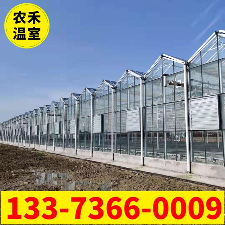 厂家专供贵州玻璃温室大棚花卉薄膜连栋大棚保温保湿养殖连栋大棚