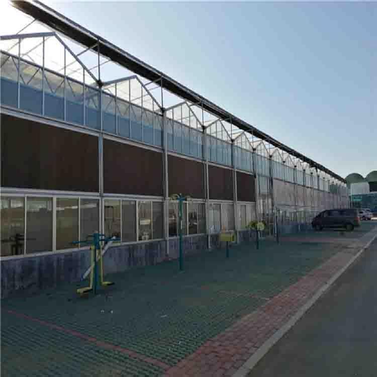 智能温室建造  报价  定制  鸿运达