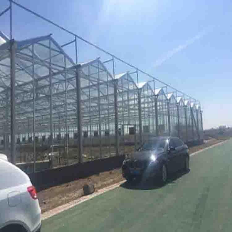 甘肃温室智能大棚_温室报价_设计值得信赖