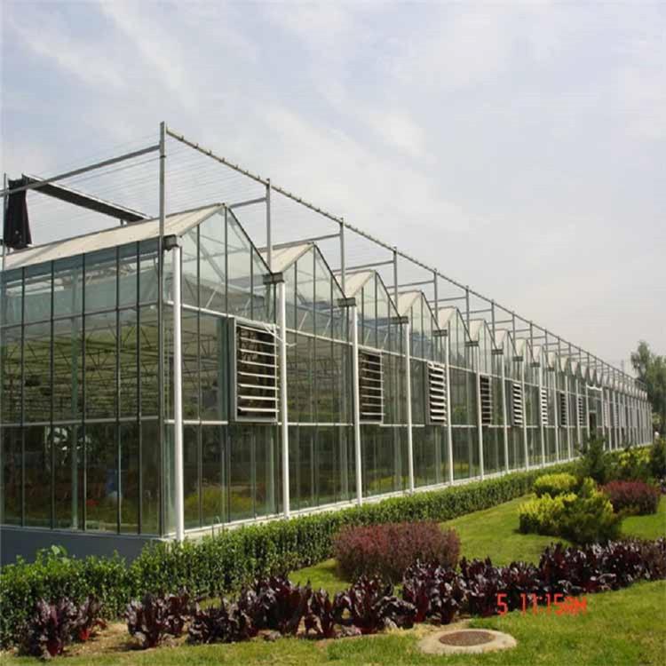 鸿运达温室大棚_智能温室建造_承建报价合理