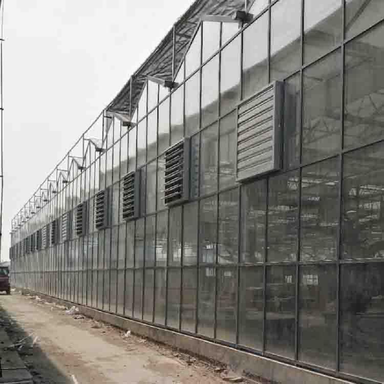 山东温室智能大棚_温室承接_价格品质保障