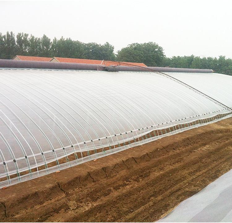 温室大棚建设公司 阳光板温室建造公司  成铭 阳光板温室大棚