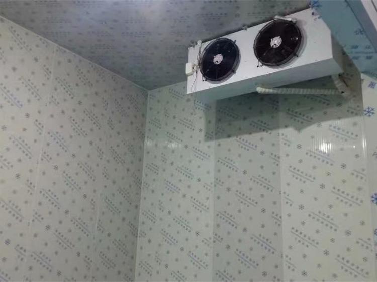 芜湖水产品冷库-水产品保鲜冷库-水产品冷冻冷库