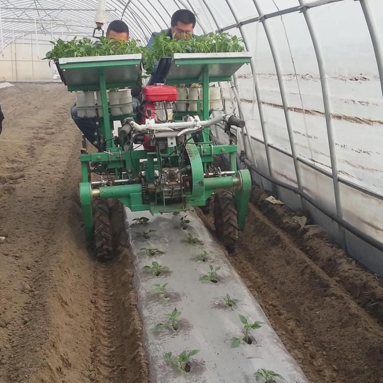 菊花移栽机 华龙移栽机 移栽机厂家 现货销售