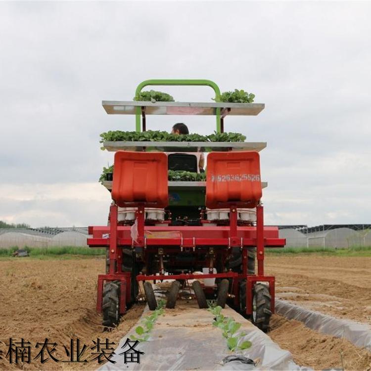 两行白菜移栽机 山东两行白菜移栽机厂家直销  海楠