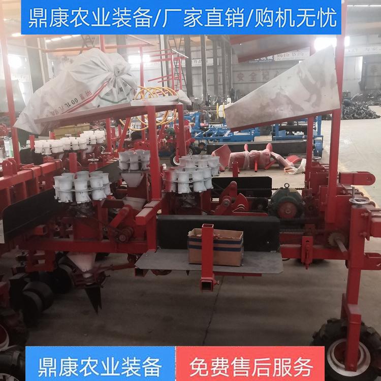 新款实用性丹参黄芩药材移栽机 辣椒西蓝花蔬菜移栽机价格生产厂家直供