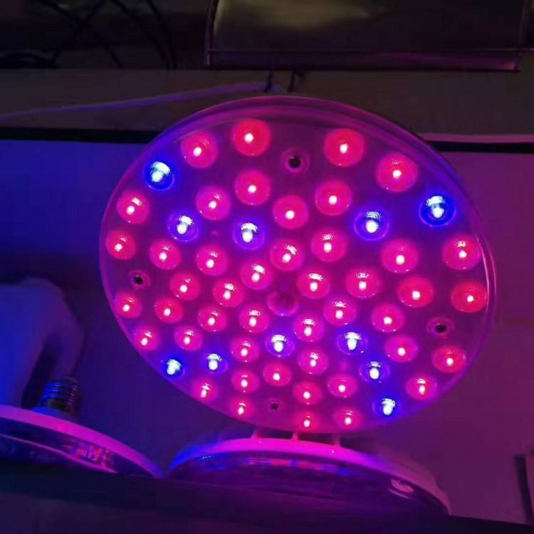 寿光LED植物生长补光灯 雨农 红光LED植物生长补光灯杀菌效果好