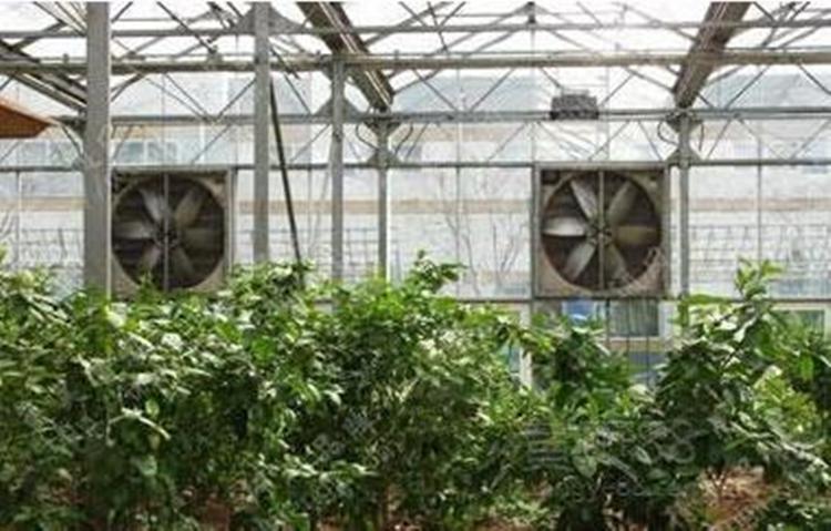 生物质热风机组温室 花卉温室采暖加温设备 育苗加温设备
