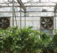 生物质热风机组温室 花卉温室采暖加温设备 育苗加温设备