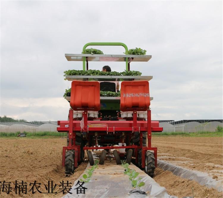 销售  两行辣椒移栽机常年供应 两行辣椒移栽机售后有保障