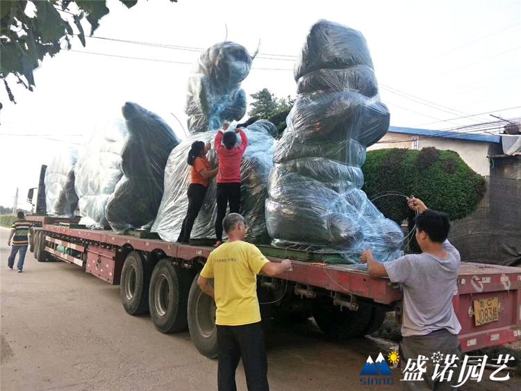 景观绿雕 动物绿雕造型 景观绿雕公司 城市景观绿雕造型