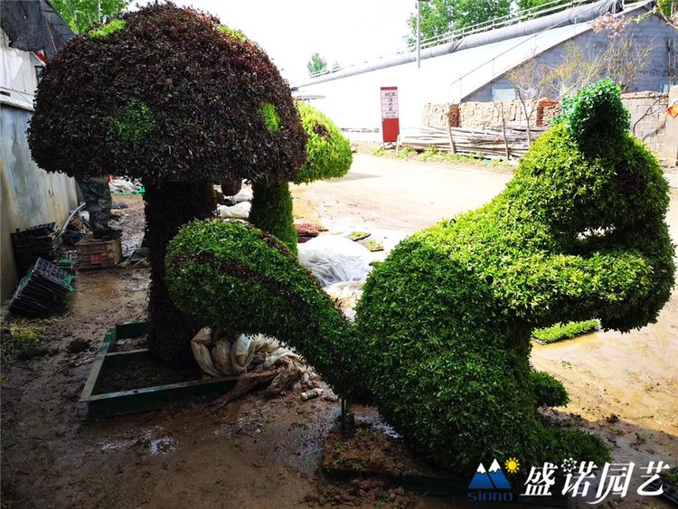 五色草造型 园艺绿雕 五色草造型公司 可来图定制