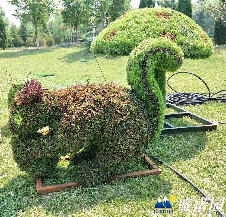 五色草动物绿雕造型 园林景观植物绿雕 五色草动物绿雕造型公司 工艺优良