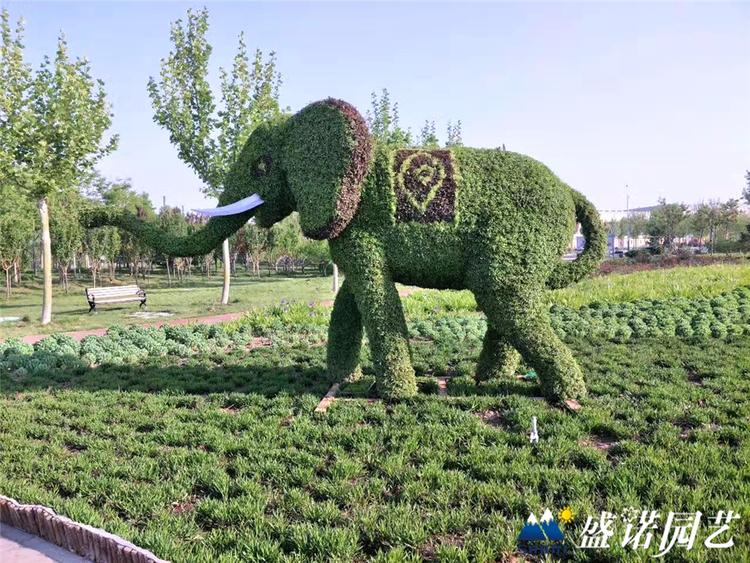 五色草绿雕 园林景观植物绿雕 五色草绿雕定制 欢迎咨询