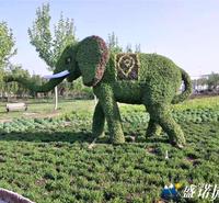 五色草绿雕 园林景观植物绿雕 五色草绿雕定制 欢迎咨询
